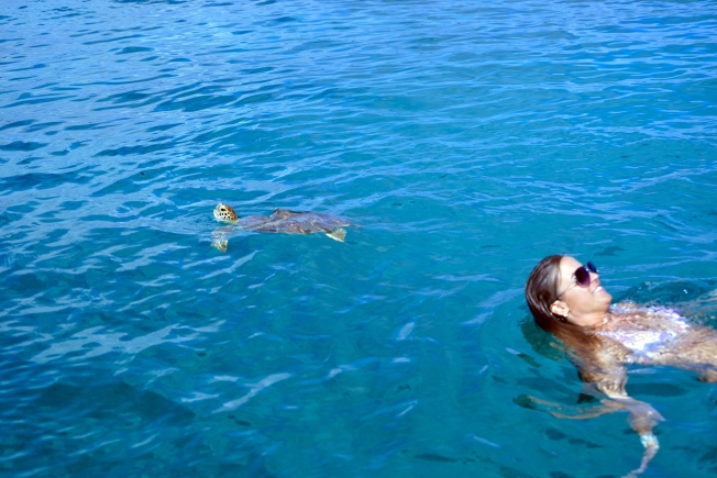 Swimming in the Caribbean with the Turtles! 